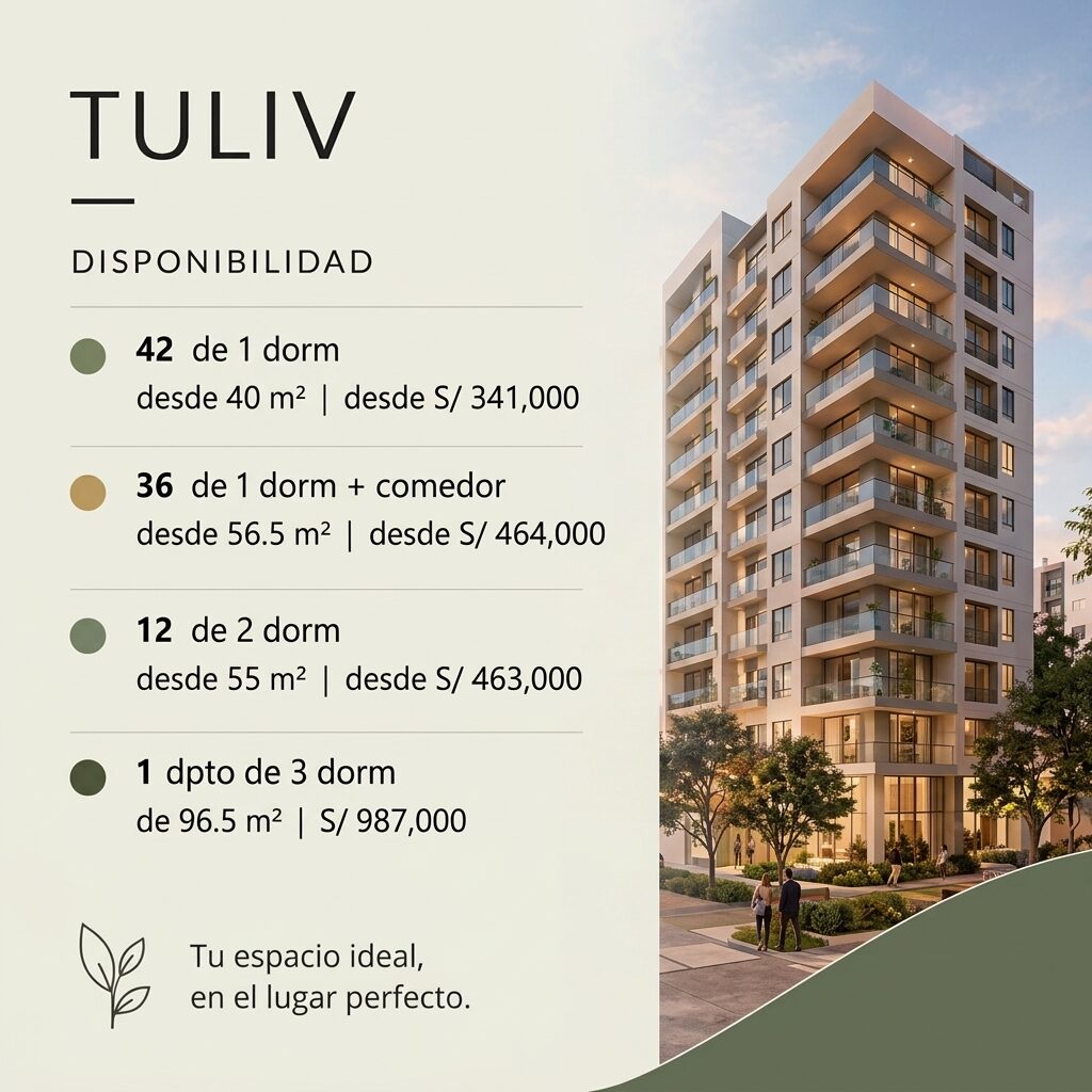 TULIV – Lince | Proyecto Ciudaris — 5